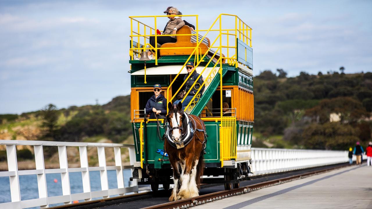 Victor Harbor Clydesdale dies from Ross River virus | NT News