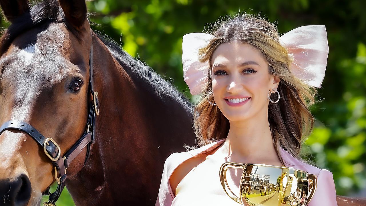 How to back a Melbourne Cup winner