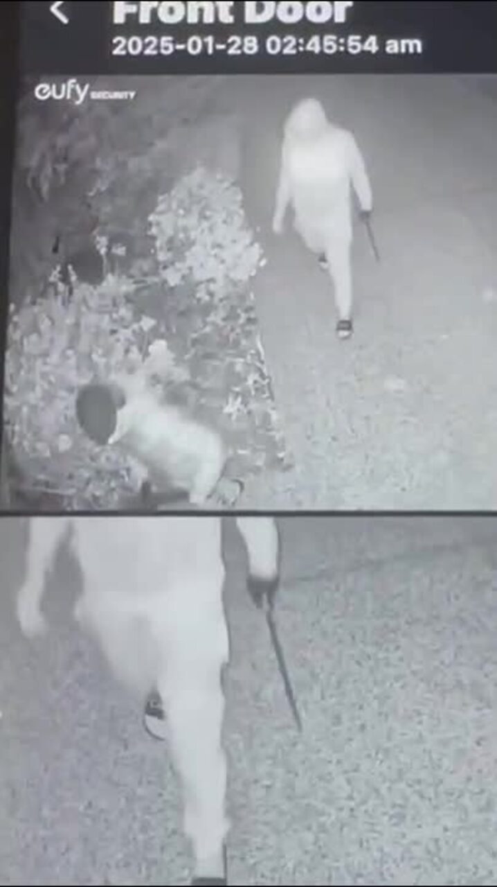 Masked figures carrying machetes caught on camera