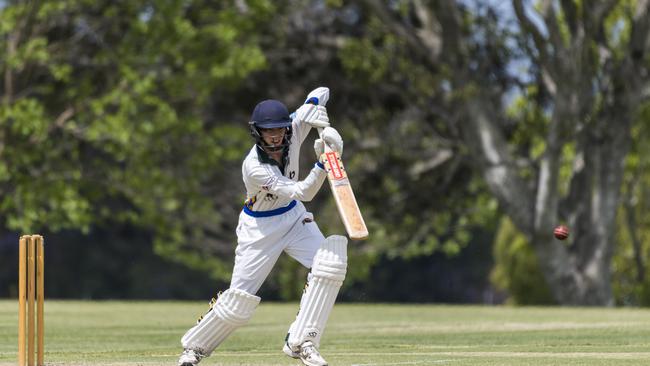 Patrick Schmidt batting in a Harding-Madsen Shield match last year. Picture: Kevin Farmer