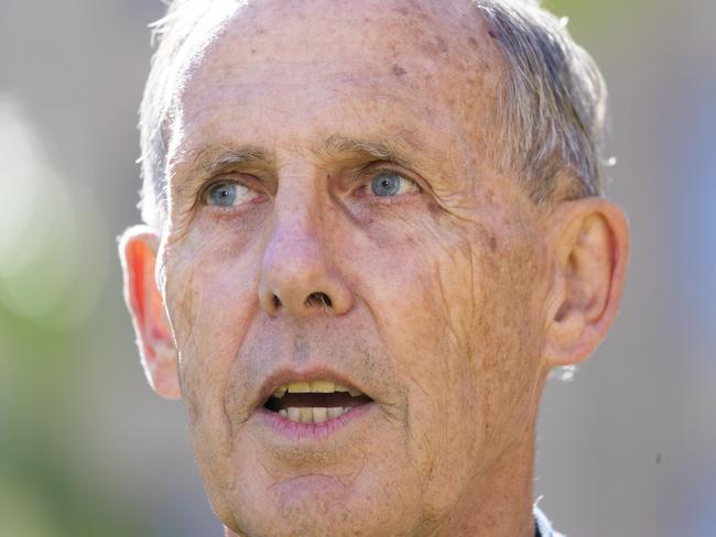 Former Greens leader Bob Brown