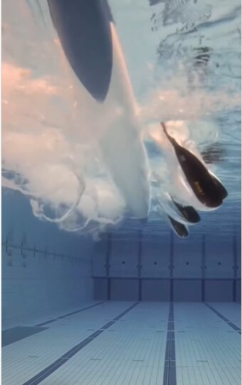 Underwater video image of men's K4 team.