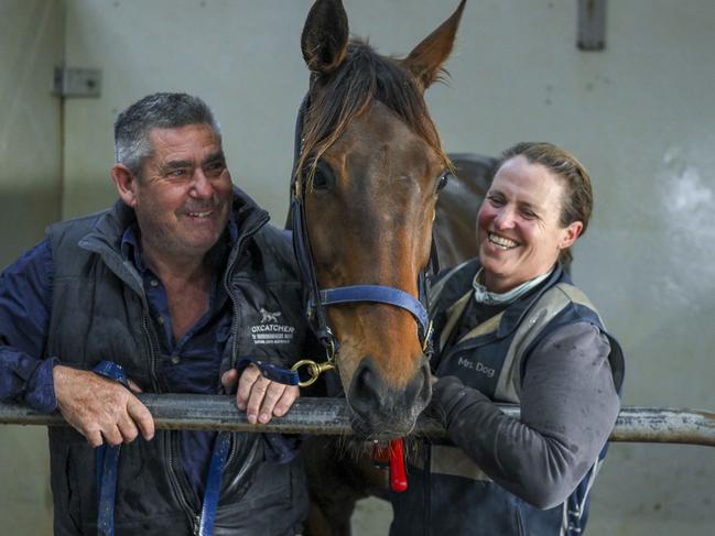 SA WEEKEND- Murray Bridge  trainers Dan Clarken and Oopy MacGillivray with their Melbourne Cup hope  'The Map" after a  shower at early  morning trackwork at Murray Bridge  race track Thursday,September 19,2024.Picture Mark Brake