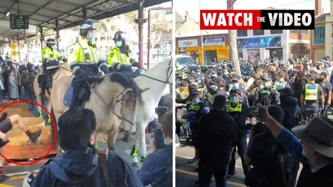 Anti-lockdown protester kicks police horse in Melbourne