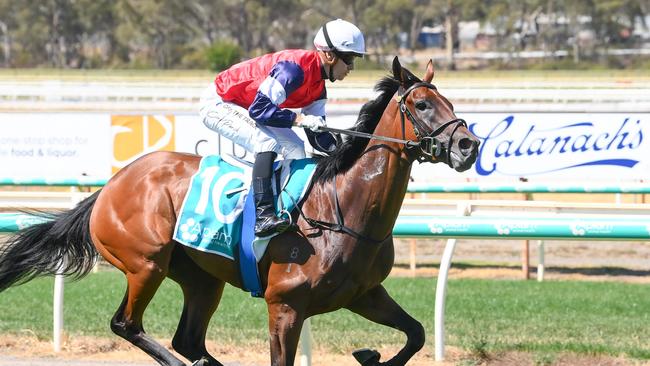 Trainers Lee and Shannon Hope will test unbeaten filly Scillato at Saturday’s Flemington meeting. Picture: Racing Photos via Getty Images