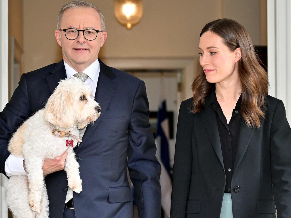 Anthony Albanese’s dog Toto is flying on taxpayer-funded VIP plane.