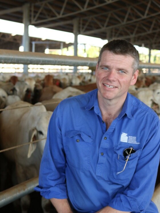 Northern Territory Livestock Exporters' Association CEO Tom Dawkins is excited by the innovation.