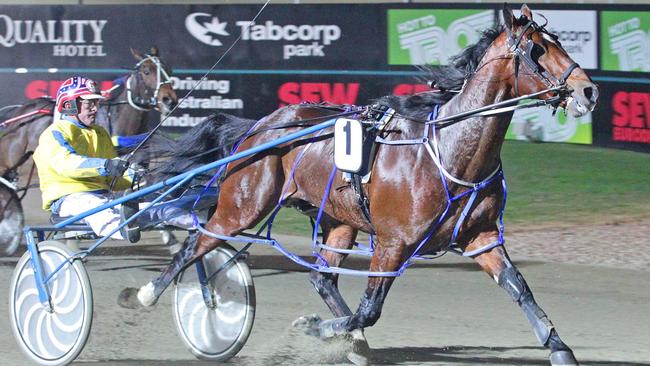 Race 7: Tabcorp Park, Friday 30-5-2014 University Foods 4YO & 5YO Championship (Group 2) Winner: Lennytheshark (1) Trainer: David Aiken; Driver: Chris Alford Race Distance: 2,240 metres Mile Rate: 1.56.5 photography: Stuart McCormick