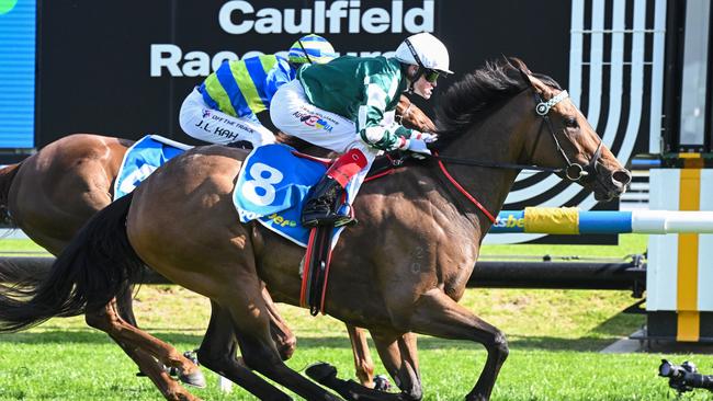 Kimochi is one of the leading contenders in the Challenge Stakes. Picture: Reg Ryan/Racing Photos via Getty Images