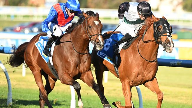 Jockey Luke Currie produced a smart ride to get tricky import Dublin Journal home at Caulfield last Saturday. Picture: Getty Images
