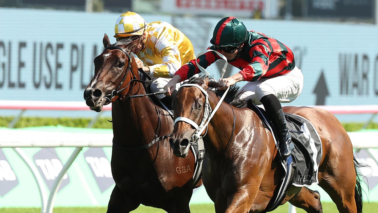 Lady Shenandoah (right) and Lady Of Camelot fighting it out in the Surround Stakes earlier this month. Picture: Jeremy Ng/Getty Images