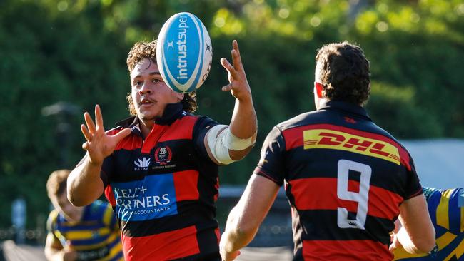 Northern Districts are currently second on the ladder.