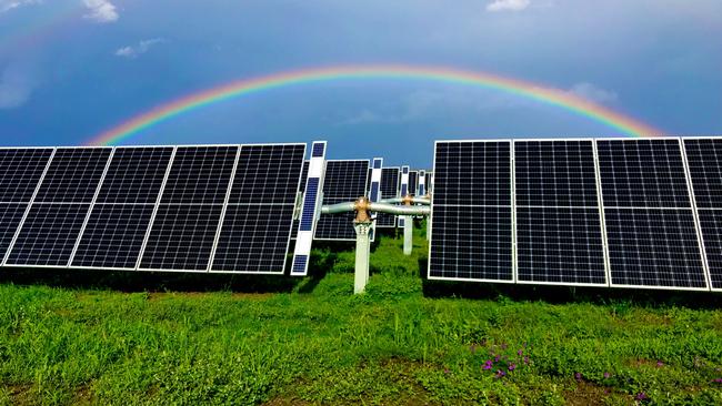 Warwick Solar Farm. Photo: Terry Moore