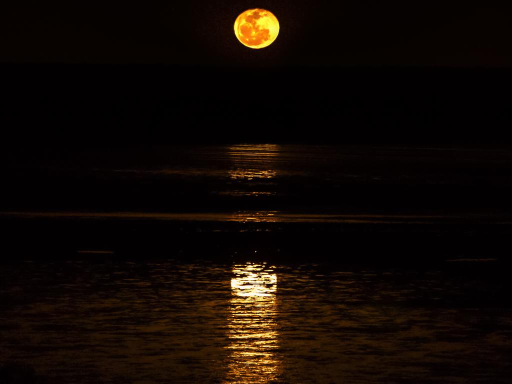 <h2>SEE THE STAIRCASE TO THE MOON IN ROEBUCK</h2> Visit Broome between March and October, and you may be treated to a spectacular natural phenomenon. Best seen from Roebuck Bay, this incredible natural event occurs when the full moon rises over exposed mudflats at low tide, creating the illusion of a <a href="http://www.visitbroome.com.au/discover/facts-figures/staircase-to-the-moon" target="_blank">staircase leading to the moon</a>. Just a two-hour flight from Perth, there is a smorgasbord of accommodation options on offer such as eco retreats, chic resorts and up-market hotels.