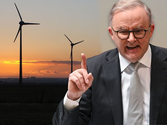 Anthony Albanese art for Future Energy