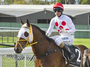 Apprentice jockey Baylee Nothdurft. Picture: Nev Madsen