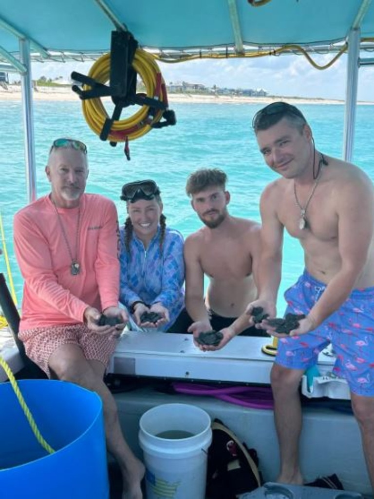 One of the divers called the find late last month 