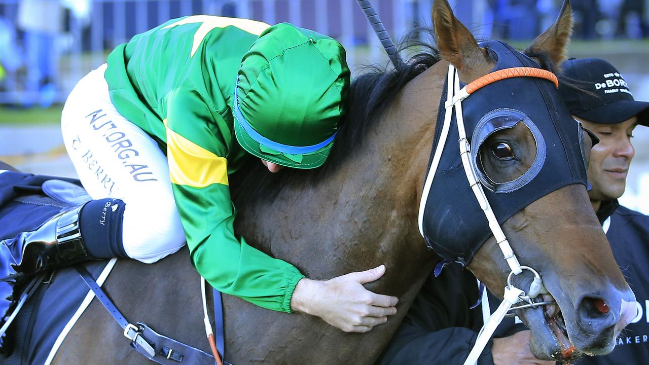 Sydney Racing - Golden Rose Day