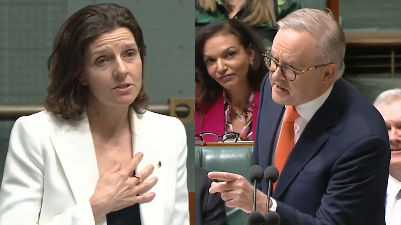 ‘Disorderly conduct’: Parliament erupts as Labor MPs shout ‘why’ at Opposition