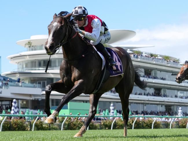 Sepals ridden by Blake Shinn wins the CS Hayes Stakes at Flemington Racecourse on February 15, 2025 in Flemington, Australia. (Photo by George Sal/Racing Photos via Getty Images)