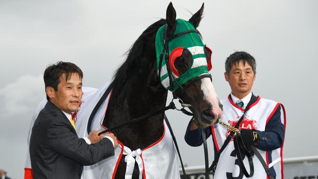 Caulfield Cup winner Mer De Glace with trainer Hisashi Shimizu. Picture: AAP