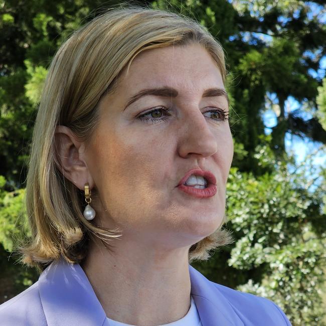 Queensland Labor's treasury spokeswoman Shannon Fentiman.