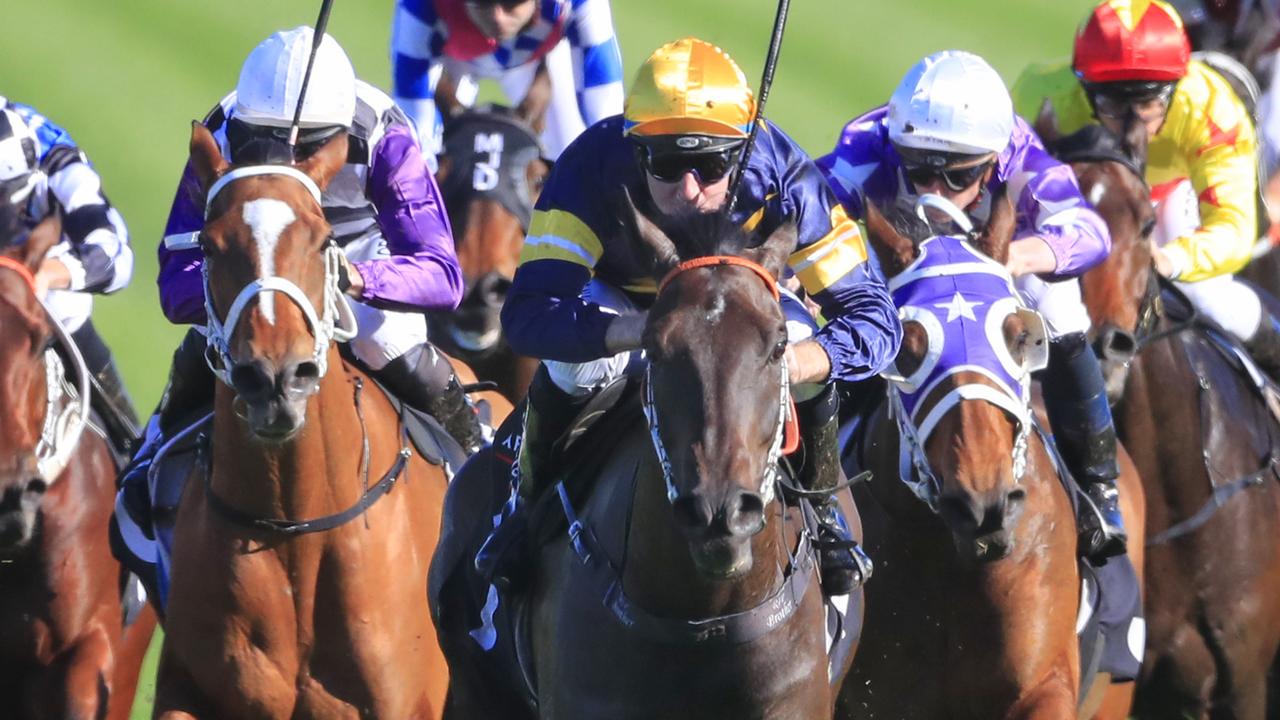 Randwick races: Brad Davidson’s tips and extended preview | Herald Sun