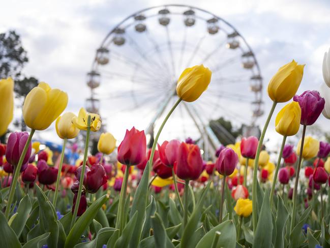 Foriade 2022 in Canberra. Source: Floriade