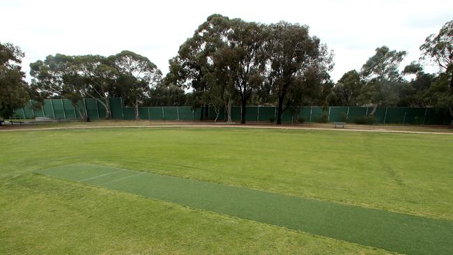 The artificial pitch is just 30m from a walking track. Picture: Hamish Blair