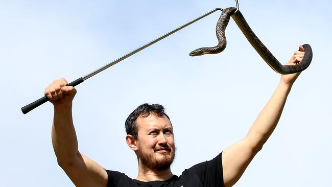 Snake handler Mark Pelley has been catching snakes for years. Picture: Ian Currie