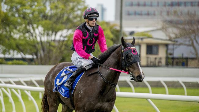 Race 5 winner Captivated, ridden by jockey  Luke Dittman on Saturday at the Gold Coast Turf Club.    Picture: Jerad Williams