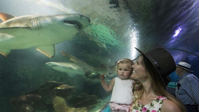 Ella Aird from Manly and her daughter Florence Aird, 18 months, at Manly Sea Life Sanctuary. Picture: AAP Image/Julian Andrews