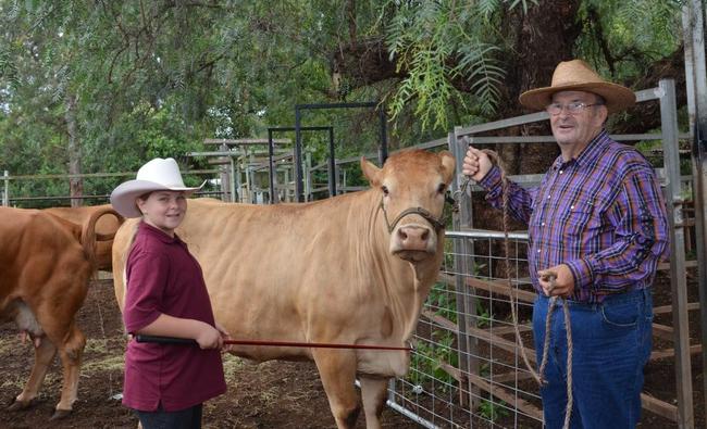 Steve Daly teaching Bree-Anna William how to keep cattle calm. . Picture: Barclay White