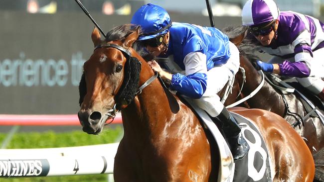 SYDNEY, AUSTRALIA - MARCH 04: Zac Purton riding Communist  wins  Race 8 The Agency Randwick Guineas  during Sydney Racing at Royal Randwick Racecourse on March 04, 2023 in Sydney, Australia. (Photo by Jeremy Ng/Getty Images)