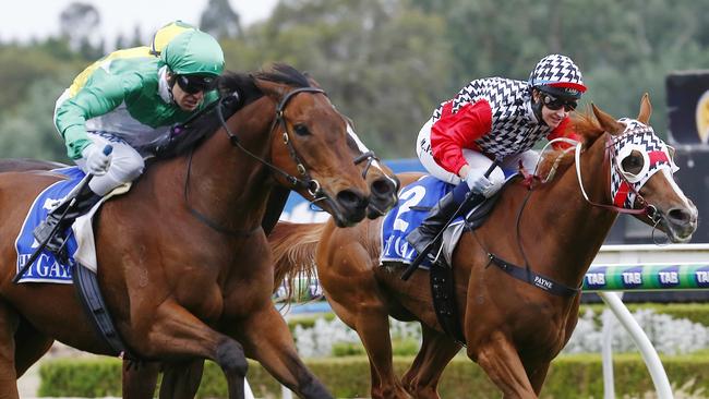 Jockey Michelle Payne onboard Akzar can't real in Vlad Duric onboard Tristrams Sun and ended up finishing fourth in the Kyneton Cup , Melbourne. 4th November 2015. Picture: Colleen Petch.