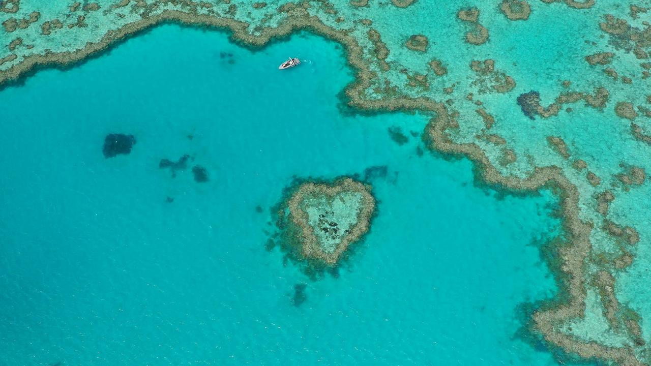 Heart Reef is a picturesque section of the Great Barrier Reef in the tropical Whitsundays. Picture: Supplied