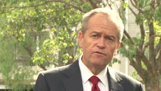 Shorten backs referendum on dual citizenship