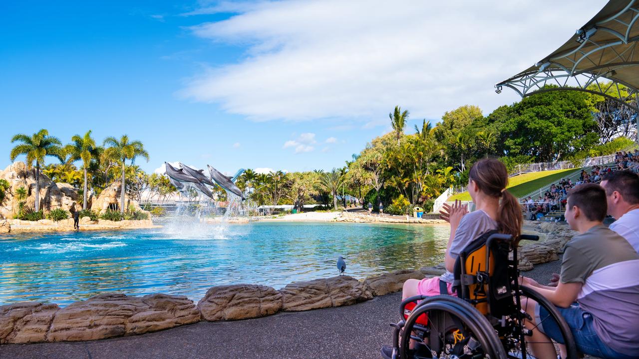 Family watching the Affinity Dolphin Presentation at Sea World