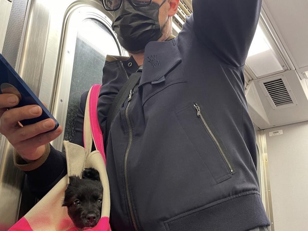 David Harbour pictured on the subway with Mary.