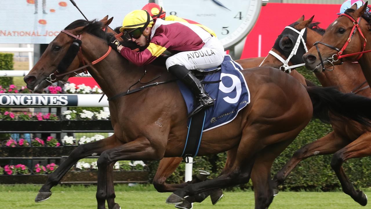 Colour Sergeant can begin his march towards the 2024 Big Dance with victory in Sunday's Nowra Cup. Picture: Grant Guy