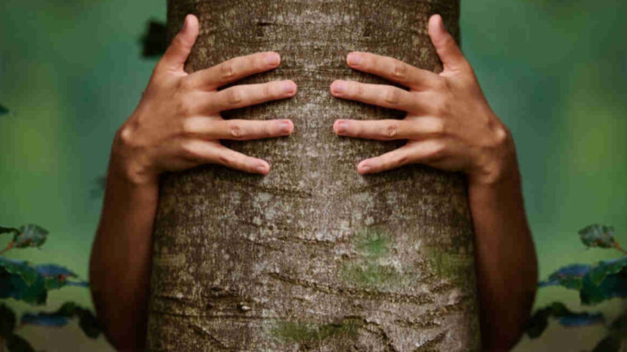 You can be a proud tree-hugger and invest in mining too, you know. Picture: Getty Images