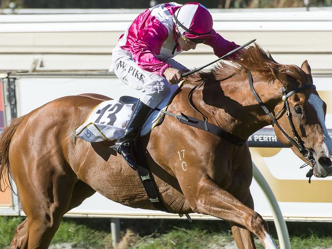 Real Love streaks home to win the 2015 Perth Cup at Ascot on New Year's Day. Picture: Simon Merritt