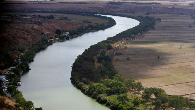 The River Murray, downstream from Mannum.