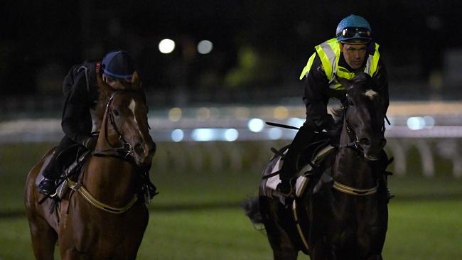 James McDonald on Kubrick (L) during a trackwork session at Caulfield. Picture: AAP Image/Vince Caligiuri