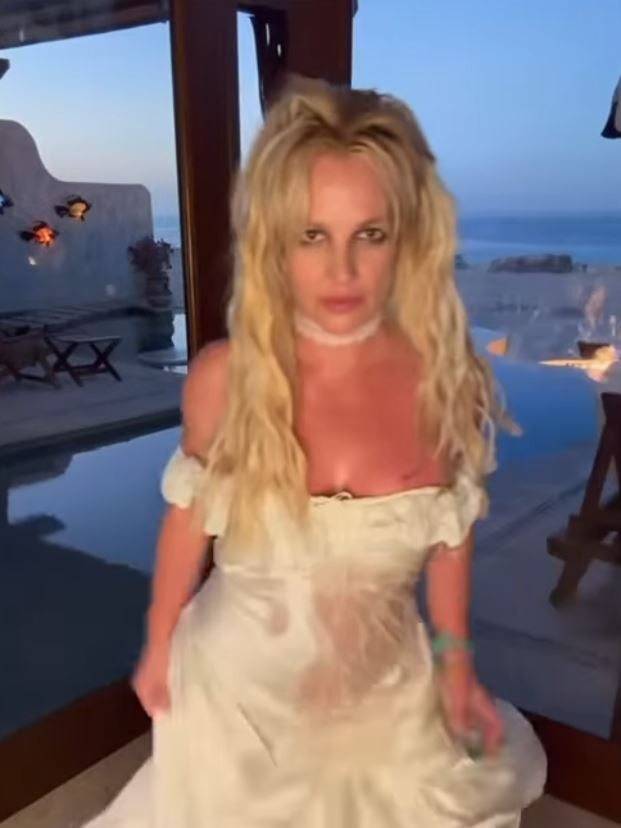 Britney Spears shared and then deleted a racy video. Picture: Instagram