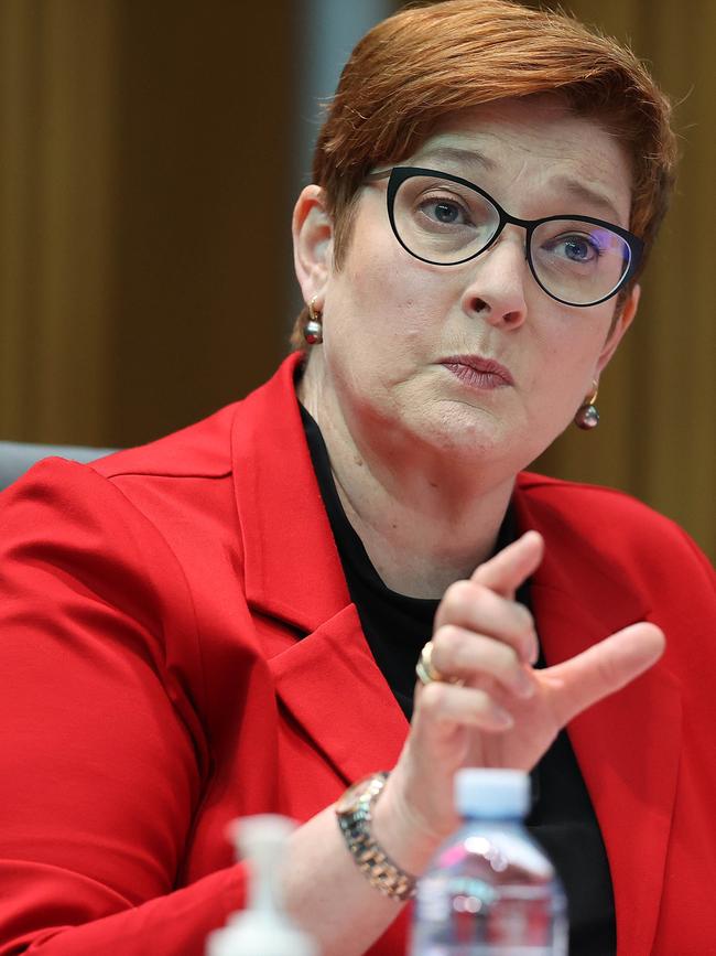 Foreign Minister Marise Payne. Picture: NCA Newswire / Gary Ramage