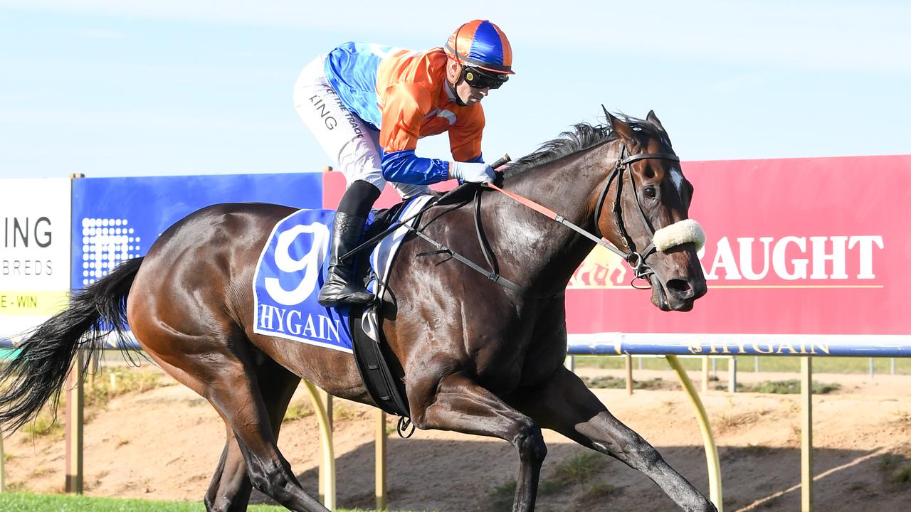 Grinzinger Moon will shoot for her fifth straight win when she makes her city debut at Caulfield on Saturday. Picture: Racing Photos via Getty Images