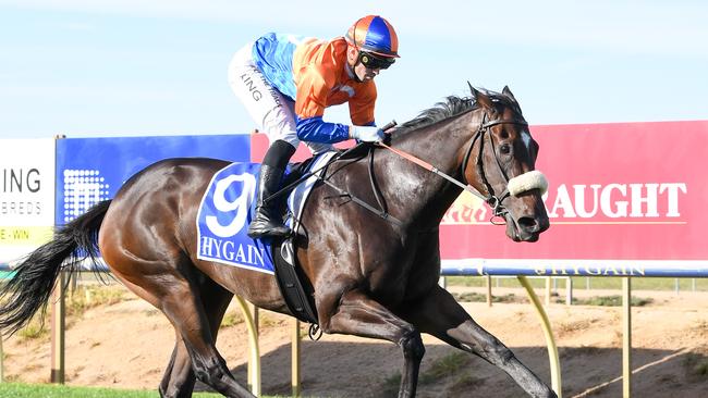 Grinzinger Moon will shoot for her fifth straight win when she makes her city debut at Caulfield on Saturday. Picture: Racing Photos via Getty Images