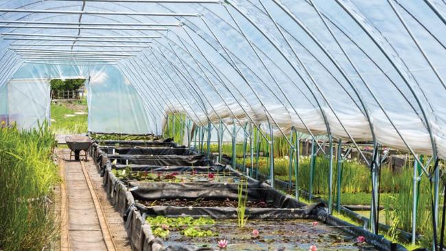 Interior view of a tunnel similar to the three proposed at a new Mullumbimby nursery.