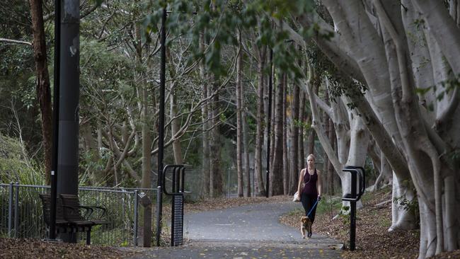 The GreenWay cycle, pedestrian and biodiversity link from Iron Cove to Cooks River has been approved.